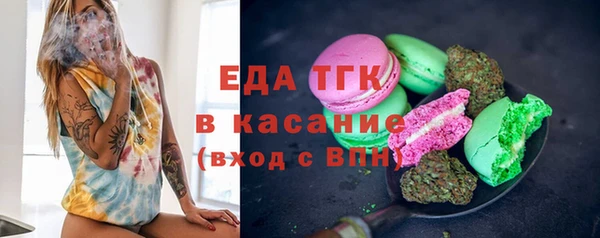 дживик Няндома