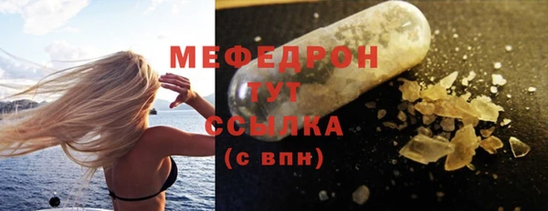 дживик Няндома
