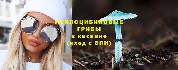 гидропоника Нягань