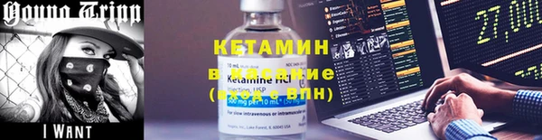дживик Няндома