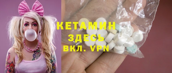 дживик Няндома