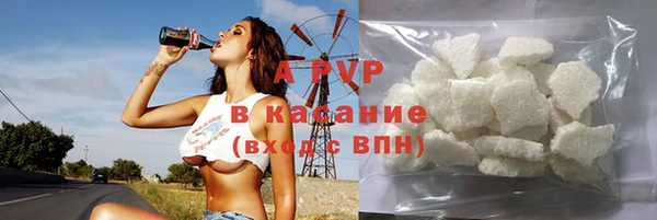 дживик Няндома