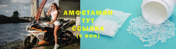 дживик Няндома