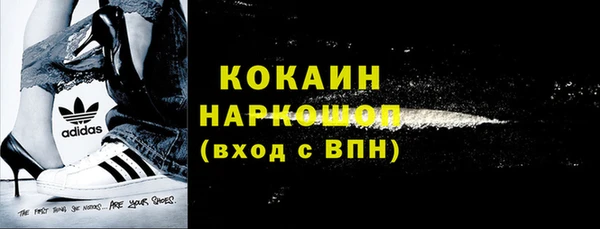дживик Няндома