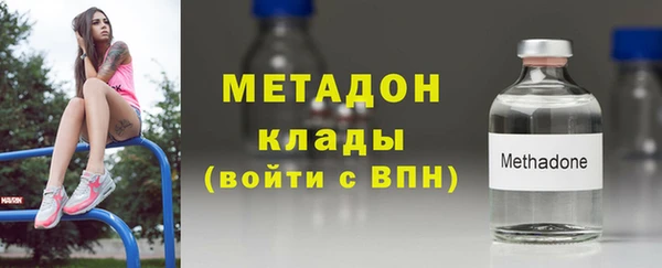 дживик Няндома
