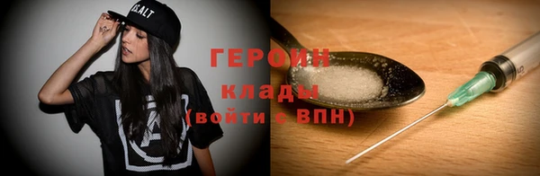 дживик Няндома