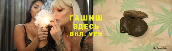 дживик Няндома