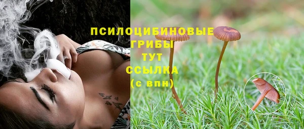 гидропоника Нягань
