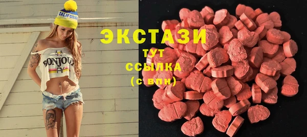 дживик Няндома