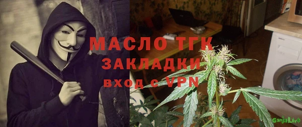 дживик Няндома